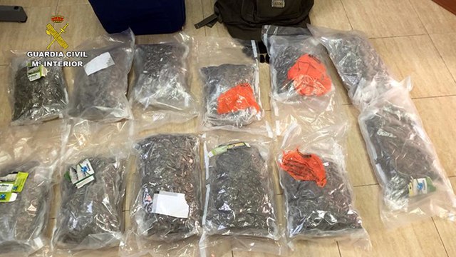 Guardia Civil detiene a un hombre por presunto tráfico de droga