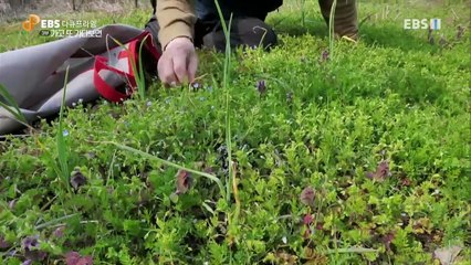 EBS 다큐프라임 - Docuprime_진정성 시대 3부- 가고 또 가다보면_#003