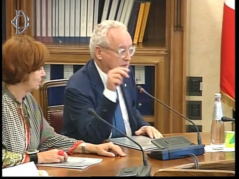 Roma - Audizioni su rappresentanza sindacale nei luoghi di lavoro (15.10.19)