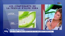Aloé vera : plante miraculeuse ou argument marketing ?