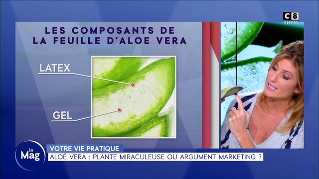 Aloé vera : plante miraculeuse ou argument marketing ?