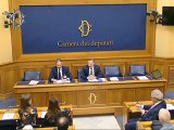 Roma - Conferenza stampa di Antonio Palmieri (15.10.19)
