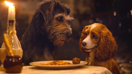 Lady and the Tramp on Disney+ - Official Trailer 2