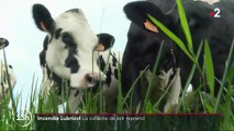 Incendie de l'usine Lubrizol : les mesures de restriction sur le lait ont été levées