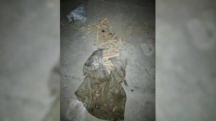 Dëmtohet Memoriali i Dëshmorëve të LANÇ-së, Gjakovë-Lajme