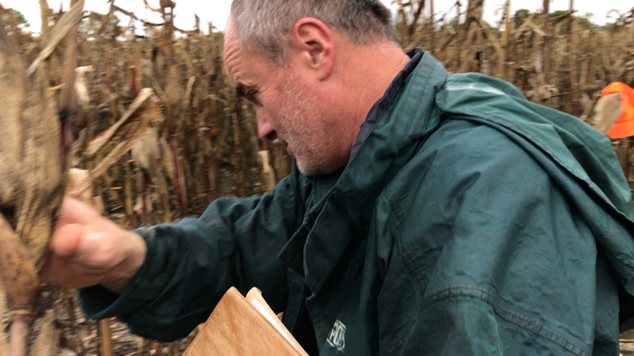 Pornic. Estimateur, il compte les dégâts des sangliers