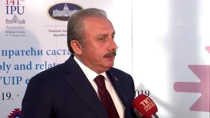 Şentop: "Batı ülkeleri kendilerine zarar vermeyeceğini düşündükleri terör örgütlerini destekliyor"