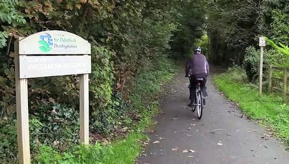 The Y shed Dog Friendly Cafe 