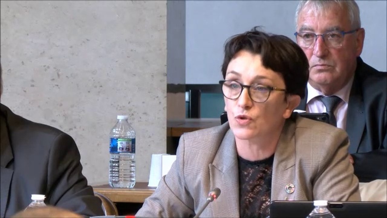 Céline TONOT. DM2 de la Mission d'aménagement numérique départemental. 14 octobre 2019