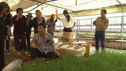 지속가능한 미생물 농법 배우러 왔어요! / YTN