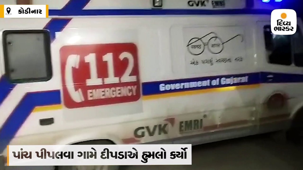 દીપડાએ બાળકી પર હુમલો કર્યો, તો માતાએ હિંમત કરી બાળકીને દીપડાના મોઢામાંથી બચાવી