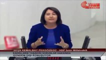 Türk askerine 'işgalci' diyen terör destekçisi HDP'liye tokat gibi cevap