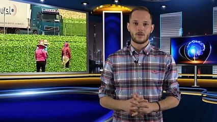 Ni cinco meses ha mantenido el Gobierno su previsión de ingresos por el alza del Salario Mínimo