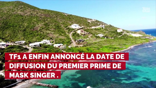 Mask Singer : on connaît la date du prime événement de TF1 avec Camille Combal