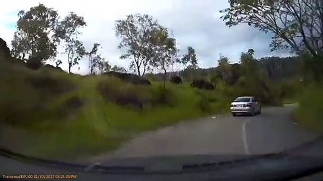 Il réussit à échapper à des braqueurs en faisant une marche arrière