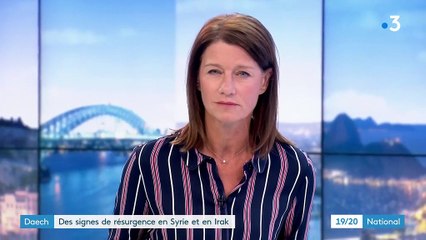 Offensive turque en Syrie : la menace de la résurgence du groupe État islamique