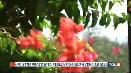Affidi - Mi hanno strappato mia figlia quando aveva 18 mesi