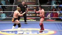 Niebla Roja vs. Gran Guerrero, por Campeonato Semicompleto del CMLL (Full Match).