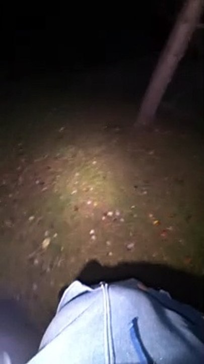 Pouncey Frolics at 4 AM