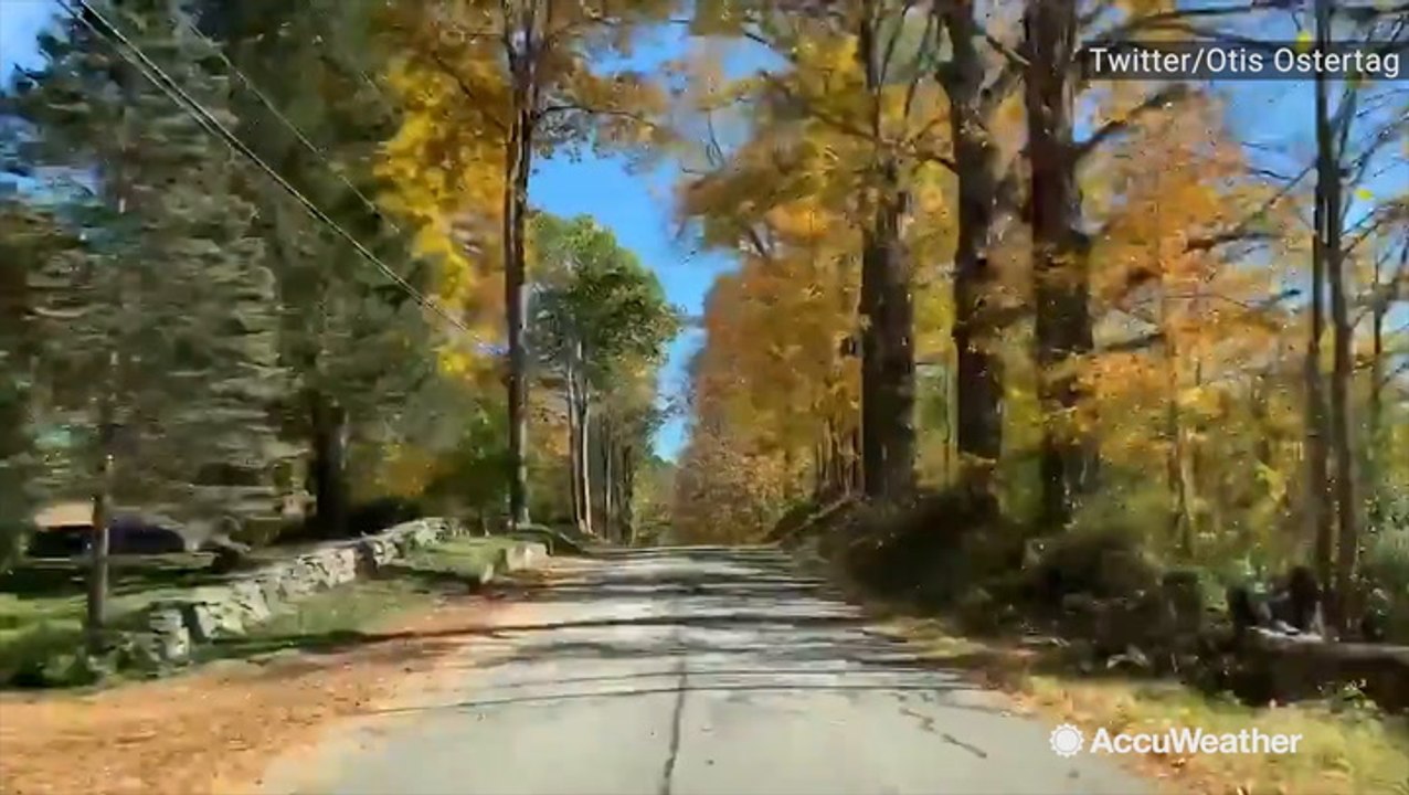 A nice drive through fall foliage