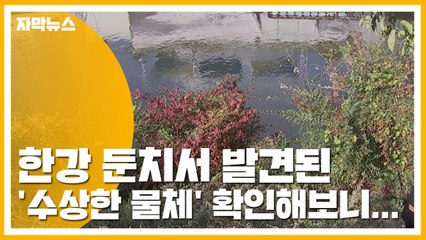 [자막뉴스] 한강 둔치서 발견된 '수상한 물체' 확인해보니... / YTN