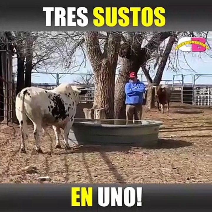 Tres sustos en uno