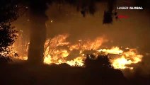 Mersin'in 3 ilçesinde orman yangını