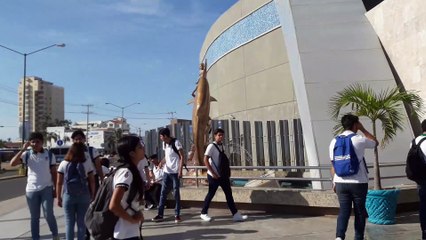 Acuario Mazatlán | 2019