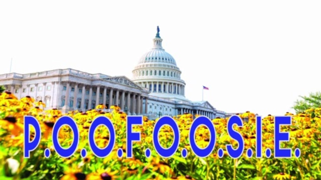 The (federal) deficit does not matter (7) B