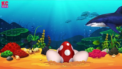 Squishy the Dinosaur Meets Funny Eggs - KC Toys