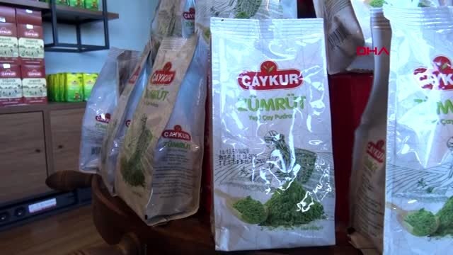 Rize japonların çay seremonisindeki yeşil çay pudrası türkiye'de üretildi