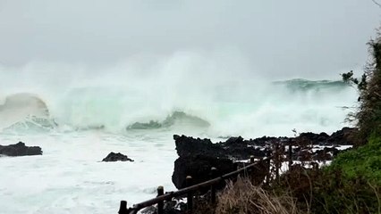 Typhoon Hagibis Rough Sea And Huge Waves Ahead Of Landfall