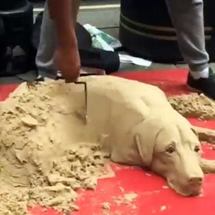 Smazing Dog Sand Art