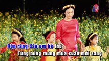 Dịu Dàng Sắc Xuân (Karaoke) - Đàm Vĩnh Hưng