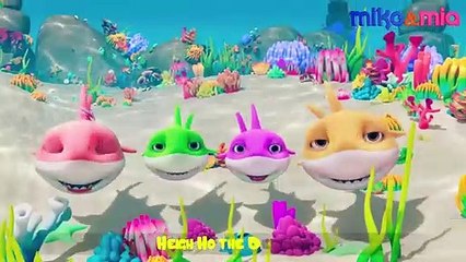 Baby Shark Lost His Fin | Baby Shark Doo Doo | Where is my Fin by HD Nursery Rhymes