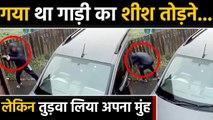Man wants to Break a Car Glass, but inverted brick on his own face | वनइंडिया हिंदी