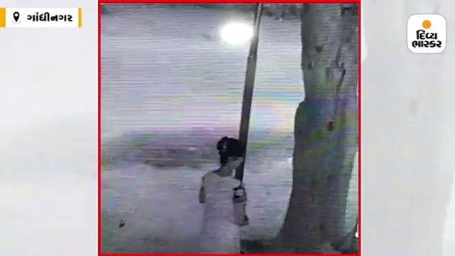 વીજ થાંભલા પર ચઢીને મહિલાએ સોલાર બેટરીની ચોરી કરી, ઘટના CCTVમાં કેદ