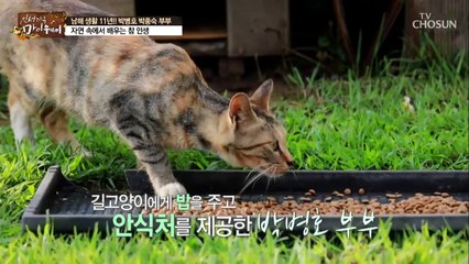 박병호 남해 공식 ‘길고양이 아빠’ 된 사연