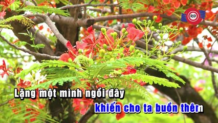 Trời Còn Mưa Mãi (Karaoke) - Đàm Vĩnh Hưng