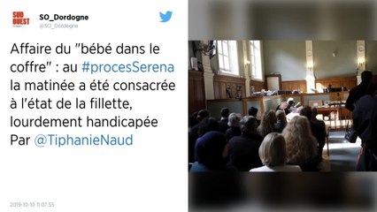 Fillette trouvée dans un coffre : « Pas moins de 10 ans » de prison requis en appel contre la mère