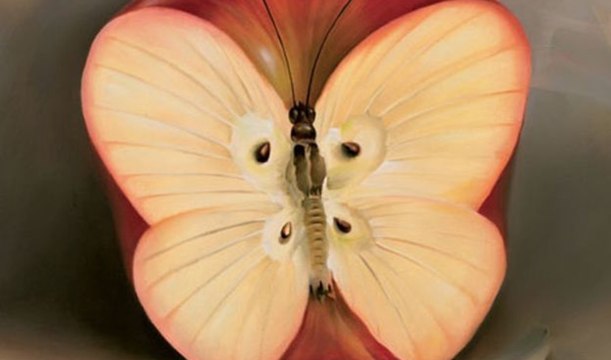 Cet étonnant test de personnalité peut décrypter qui vous êtes