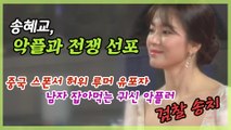 경찰, '송혜교 악성댓글·루머' 유포자 검찰 송치