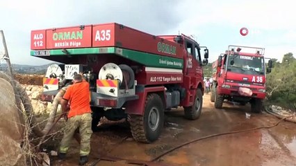 Erdemli'de 10 hektar kızılçam ormanı yandı