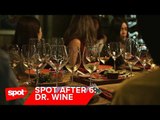 Here's What Went Down at Spot After 6: Wine and Food Pairing Workshop at Dr. Wine