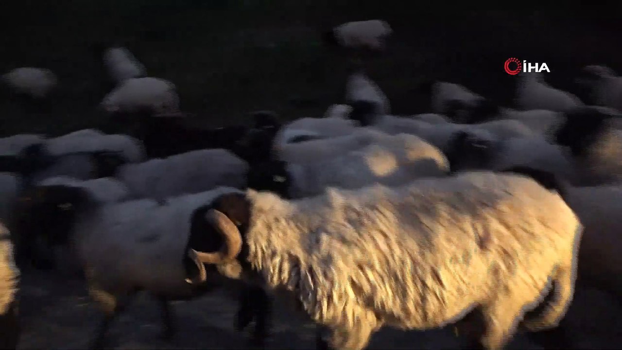 Yayladan Köye Zorlu Dönüş Yolculuğu Başladı