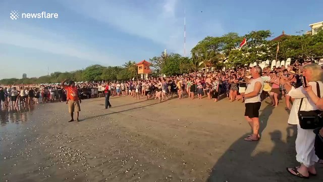 Turtles released into the sea to mark 17th anniversary of Bali bombings