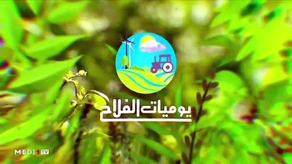 يوميات الفلاح - 15/10/2019