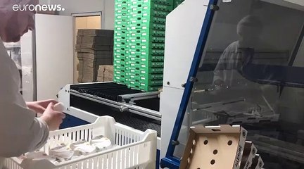 Rouen: le conseguenze economiche dell'incendio alla Lubrizol