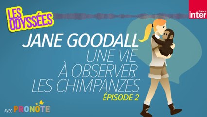 Jane Goodall, une vie à observer les chimpanzés, épisode 2 - Les Odyssées