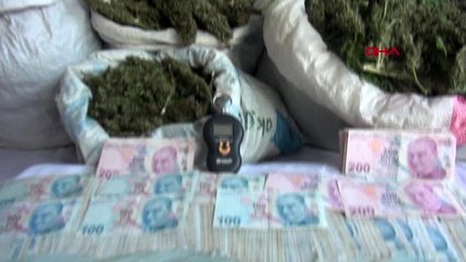 Manisa manisa'da jandarmanın operasyonunda 35 kilo kubar esrar ele geçirildi